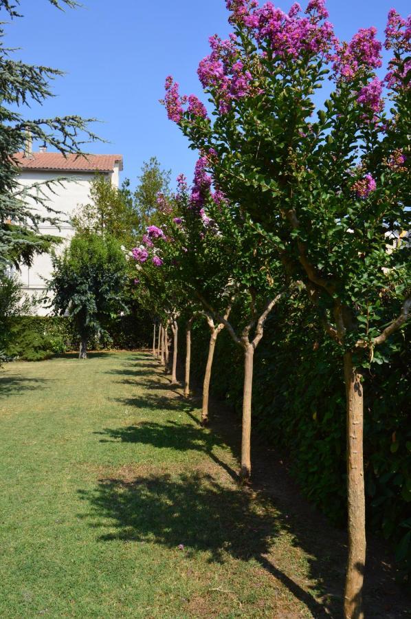 B&B Villa Lupidi Corridonia Kültér fotó